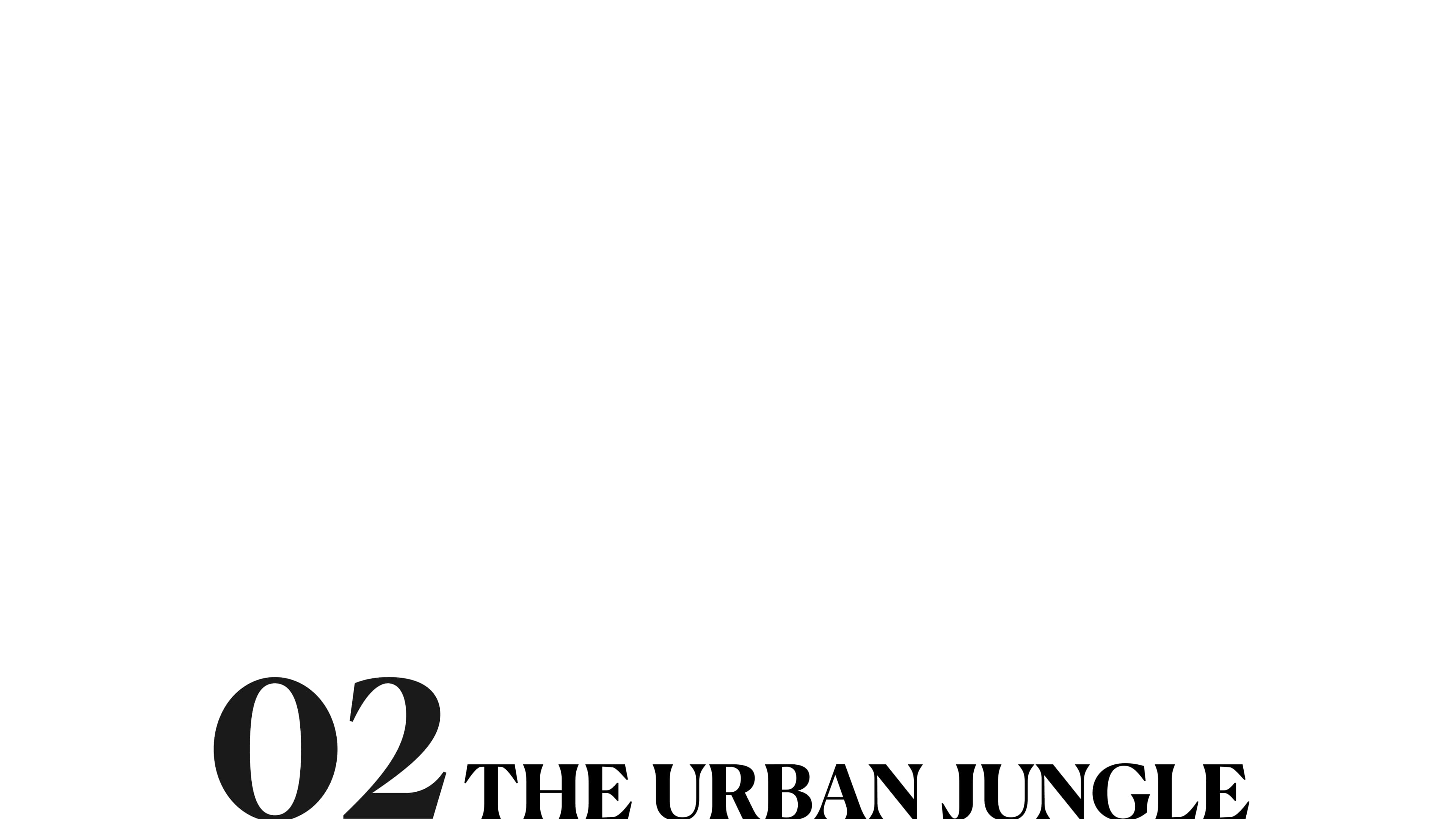 The Urban Jungle cover photo